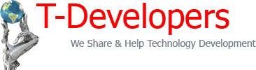 IT Tech Developer