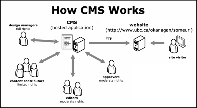 You are currently viewing What is a CMS?