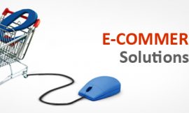 Why Many Entrepreneurs are Not Embracing E-Commerce Solutions